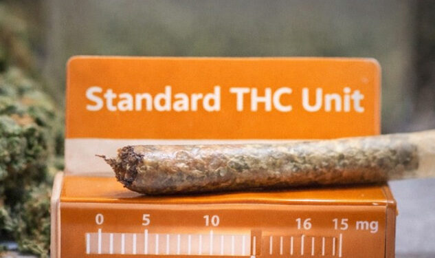 ගංජා මතේ ප්රමාණය මනිනත් මීටරයක්… සෞඛ්ය අවදානම හඳුනාගැනීමට නව සොයාගැනීමක්