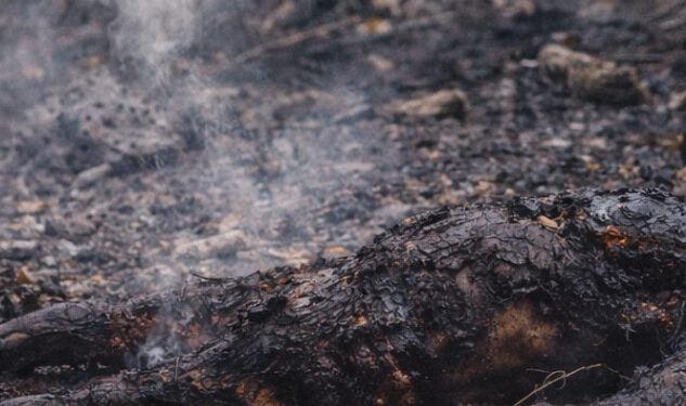 කුරුඳු කැලෑවක පිළිස්සුණු මළ සිරුරක්