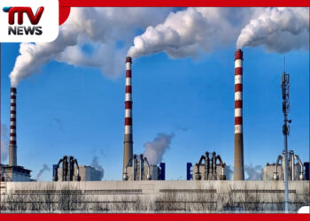 බාල ගල්අඟුරු නිසා දිනකට රුපියල් මිලියන 75ක පාඩුවක්? නොරොච්චෝල වාර්තා ප්රසිද්ධ කරනු…!