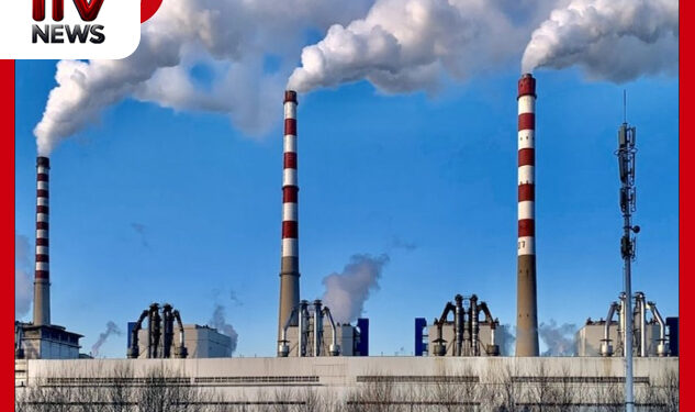 බාල ගල්අඟුරු නිසා දිනකට රුපියල් මිලියන 75ක පාඩුවක්? නොරොච්චෝල වාර්තා ප්‍රසිද්ධ කරනු…!