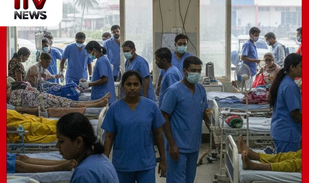 ජනවාරි මාසයේ ඩෙංගු රෝගීන්ගේ සීඝ්ර වර්ධනයක් : කොළඹ දිස්ත්රික්කයෙන් වැඩිම රෝගීන් සංඛ්යාවක් වාර්තා වෙයි