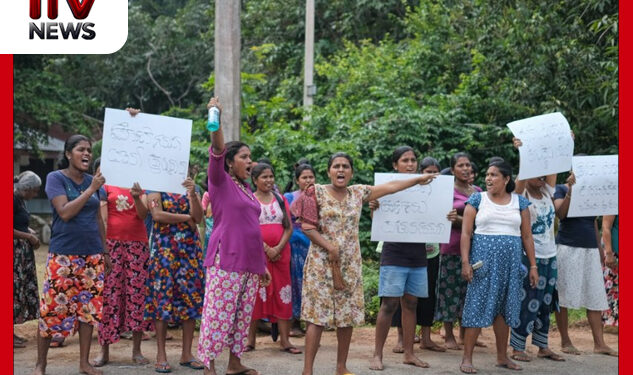 හොර පොට් අල්ලන්න… ගැහැණු එක මිටට පාරට