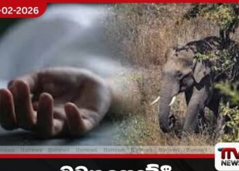 මඩකලපුවේදී වනඅලි ප්‍රහාරයකින් 76 හැවිරිදි කාන්තාවක් මරුට