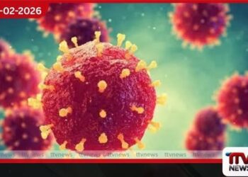 බංග්ලාදේශයෙන් නිපා වෛරස මරණයක් – ලෝක සෞඛ්‍ය සංවිධානය තහවුරු කරයි