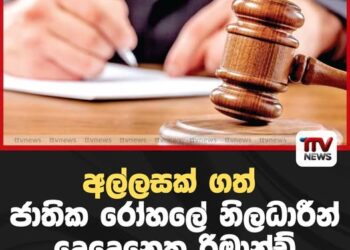 T20 ලෝක කුසලානය: නෙදර්ලන්තය කාසියේ වාසිය දිනා පන්දු රැකීම තෝරා ගනී