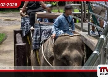 ඉන්දුනීසියාවේ අලි පිට යාම රට පුරා තහනම් කෙරේ – සංචාරක කර්මාන්තයට දැවැන්ත වෙනසක්