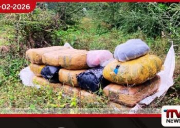 පලෙයි ප්‍රදේශයෙන් රු. ලක්ෂ 105ක කේරල ගංජා හමුවේ