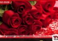 රෝස මල් මිල ඉහළ යයි වැලන්ටයින් දිනයේ අලෙවිය පහළ යන හැඩක්