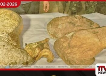 තල්මස් අම්බර් සමග සැකකරු කළුතරදී අත්අඩංගුවට