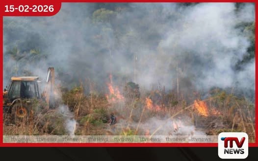 සිංහරාජ ප්රධාන වන මංකඩට නැවතත් හෙනහුරා