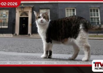 බ්රිතාන්ය දේශපාලන ස්ථාවරත්වයේ සංකේතය ලැරී පූසා වසර 15ක් සපුරයි