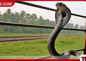 කෝච්චියෙන් යන රාජ නාගයන්: ඉන්දියාවේ දුම්රිය ජාලය හරහා රාජ නාගයන් ව්යාප්ත වෙයි