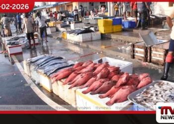 මිලියන 25,993ක මත්ස්ය නිෂ්පාදන රටින් ගෙන්වයි