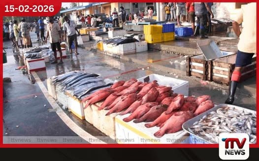 මිලියන 25,993ක මත්ස්ය නිෂ්පාදන රටින් ගෙන්වයි