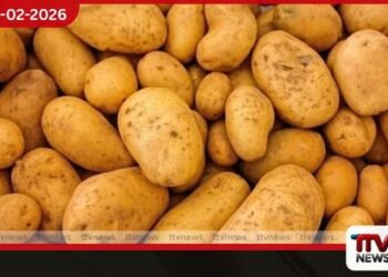 අර්තාපල් නිෂ්පාදනය අඩාල කිරීමේ කුමන්ත්රණයක් ගැන ගොවීන්ගෙන් චෝදනා