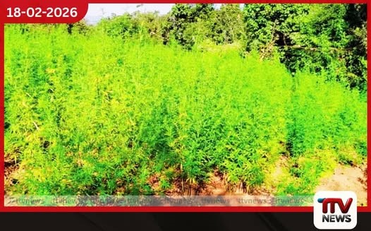 හම්බේගමුව ඇතිමලේ සහ තණමල්විල ගංජා හේන් පහක් වටලයි