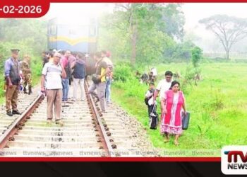 අලි දුම්රිය ගැටුමකින්  යෝධයෙකු අකාලයේ සමුගනී