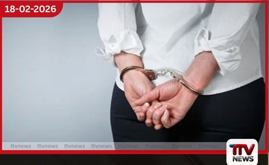 චිත්රයක් සොරකම් කළ ස්වීඩන් ජාතික කතක් අත්අඩංගුවට