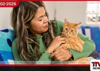 බළලුන් නිසා ජලභීතිකා රෝගය වැළඳීමේ අවදානම ඉහළ යයි සෞඛ්‍ය අංශවලින් රතු නිවේදනයක්