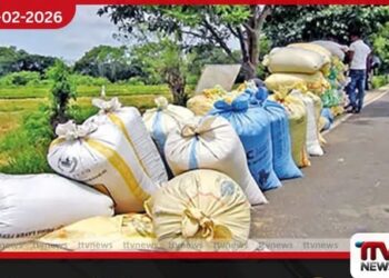 මහා පරිමාණ මෝල් හිමියන් වී මිල බස්සති; ගොවීන් රජයේ ගබඩා සොයා යයි