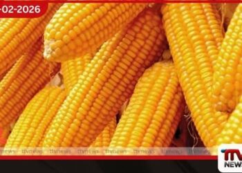 බඩඉරිඟු සඳහා රුපියල් 135ක  සහතික මිලක්