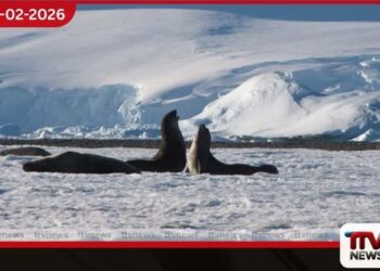 හරිතාගාර වායු විමෝචනය පාලනය නොකළහොත් ඇන්ටාක්ටිකාවට “විනාශකාරී” බලපෑම්