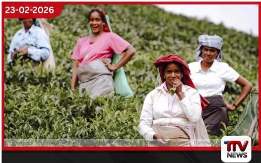 වැටුප් වැඩි කළාට වතු සමාගම් දීමනා කපලා: ජීවන් තොන්ඩමන්ගෙන් චෝදනා