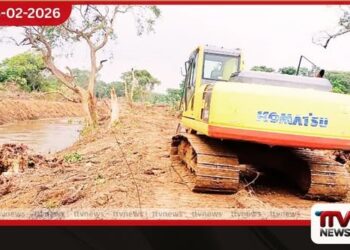 මෙගලතික යුගයට අයත්  යාං ඔය ගල්පාලම  නිධන් සොරුන් විනාශ කරයි