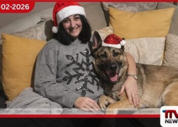 සුරතල් බල්ලා ලෙවකෑමෙන් කාන්තාවකගේ අත් පා අහිමි වෙයි සෙප්සිස් (Sepsis) අවදානම හඳුනාගනිමු