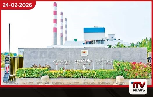 ගල්අඟුරු ප්රමිතියේ ගැටලු විමර්ශනයට විශ්වවිද්යාල විද්වතුන්ගෙන් සැදුම්ලත් කමිටුවක්