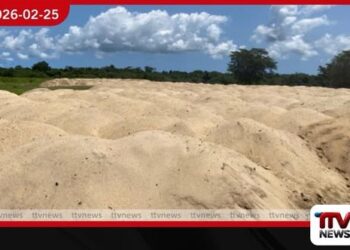 ත්‍රිකුණාමලයේ මහා පරිමාණ නීතිවිරෝධී වැලි ගබඩාවක් වටලයි: වැලි කියුබ් 780ක් අත්අඩංගුවට