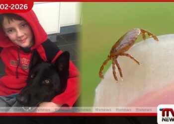 කිණිතු මර්දනයෙන් ඇති වූ මස් අසාත්මිකතාවයකින් ඕස්ට්‍රේලියානු තරුණයෙක් මියයයි ලොව පළමු මරණය මෙයයි