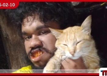 පූසෙකුට  අමානුෂික ලෙස වධ දුන් සමාජ මාධ්‍ය ක්‍රියාකරු  රක්ෂිත බන්ධනාගාරයට!