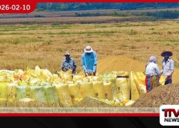 වී මිල රුපියල් 80-90 ට බසී අම්පාරේ ගොවීන් දැඩි අර්බුදයක!