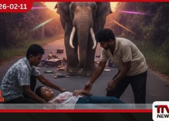 වන අලියාගේ  පහරින් විදෙස්  කතක් රෝහලේ