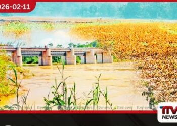 නිල්වලා ලවණ බාධකයේ වගා හානිවලට විසඳුම් මිලියන 1200ක වන්දි