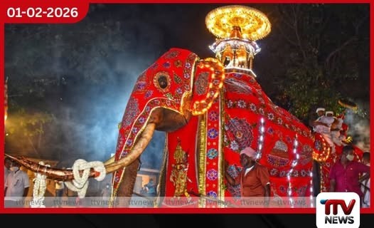 ගංගාරාම නවම් මහා මංගල්යයේ අවසන් මහා පෙරහැර අද රාත්රියේ වීදි සංචාරය කෙරේ