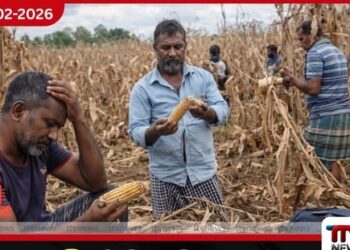 කෘෂිකර්ම අමාත්‍යාංශයේ ‘මැජික් බඩ ඉරිඟු’ අම්පාරේදී අසාර්ථක වෙයි: අක්කර 300ක වගාවක් විනාශයි