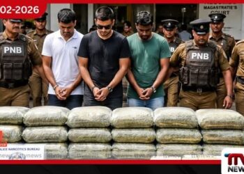 කෝටි 2ක කුෂ් මත්ද්‍රව්‍ය සමඟ ව්‍යාපාරිකයෙක් කොටු තවත් සැකකරුවන් දෙදෙනෙකුත් දැලේ