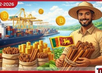 කුරුඳු අපනයනයෙන් වාර්තාගත ආදායමක්: රුපියල් කෝටි 8,000ක විදේශ විනිමයක් මෙරටට