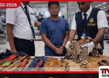 තායිලන්තයේ සිට සූක්ෂම ලෙස  මෙරටට ගෙනා සත්ත්ව හම් තොගයක්  කටුනායකදී අත්අඩංගුවට