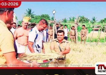 මඩකලපුව සිරකරුවෝ අක්කර 20ක වී වවති