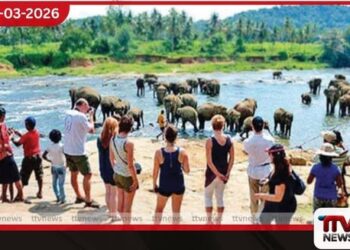 පෙබරවාරි මාසයේ වාර්තාගත සංචාරක පැමිණීමක්