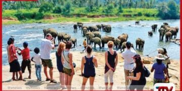 පෙබරවාරි මාසයේ වාර්තාගත සංචාරක පැමිණීමක්