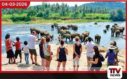 පෙබරවාරි මාසයේ වාර්තාගත සංචාරක පැමිණීමක්