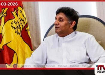 ආණ්ඩුව අලියා ගිලපු දිවුලක් වගේ