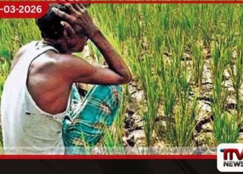 වන සතුන්ගෙන් සිදුවන හානි  පාලනයට රජයෙන් විධිමත් වැඩපිළිවෙළක්