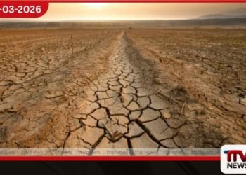 දිවයිනේ බොහෝ ප්රදේශවලට ප්රධාන වශයෙන් වියළි කාලගුණයක්