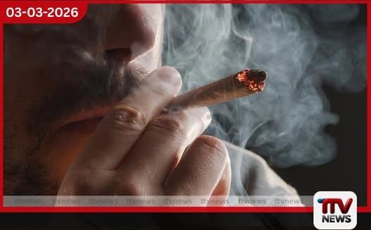 ගංජා භාවිතය සහ කංසා අතර භයානක සබඳතාවක් නවතම අධ්යයනයකින් හෙළි වෙයි