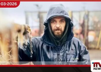 ටොඩ් මෙඩෝස් අභාවප්‍රාප්ත වෙයි